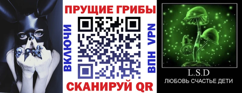 Псилоцибиновые грибы Psilocybine cubensis закладка Павловский Посад